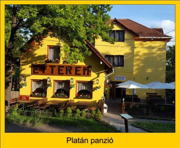 Platan Panzio Hotel Добогокьо Екстериор снимка